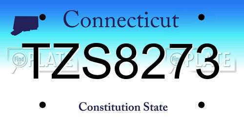 TZS8273 Connecticut License Plate