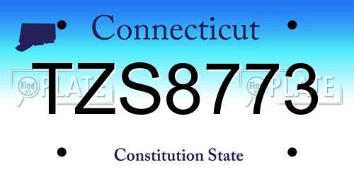 TZS8773 Connecticut License Plate