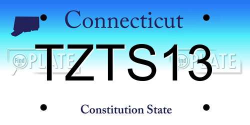 TZTS13 Connecticut License Plate