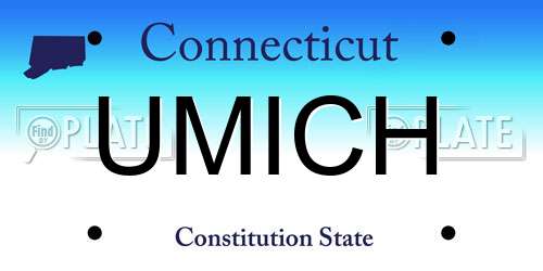 UMICH Connecticut License Plate