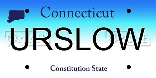URSLOW Connecticut License Plate