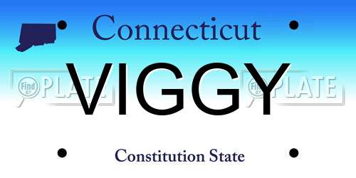 VIGGY Connecticut License Plate