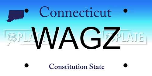 WAGZ Connecticut License Plate
