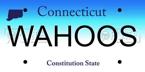 WAHOOS Connecticut License Plate