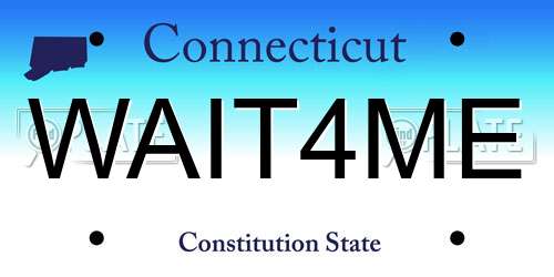 WAIT4ME Connecticut License Plate