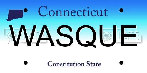 WASQUE Connecticut License Plate