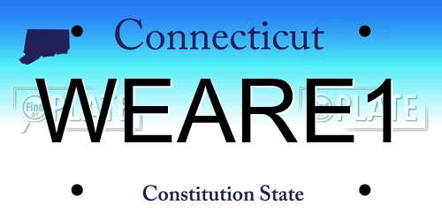 WEARE1 Connecticut License Plate