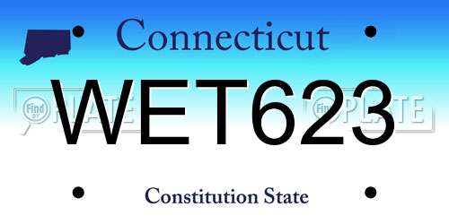 WET623 Connecticut License Plate