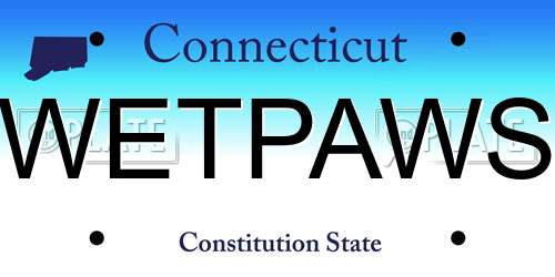 WETPAWS Connecticut License Plate