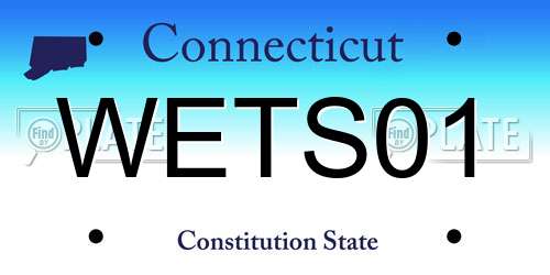 WETS01 Connecticut License Plate