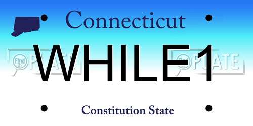 WHILE1 Connecticut License Plate