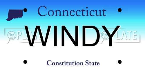 WINDY Connecticut License Plate