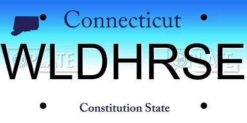 WLDHRSE Connecticut License Plate