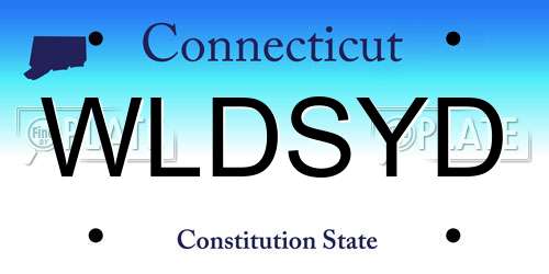WLDSYD Connecticut License Plate