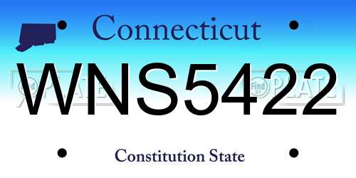 WNS5422 Connecticut License Plate