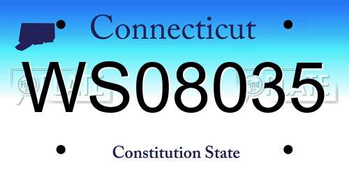 WS08035 Connecticut License Plate