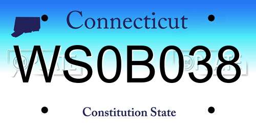 WS0B038 Connecticut License Plate