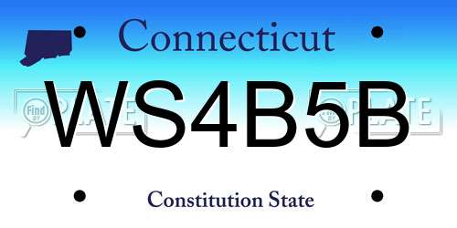 WS4B5B Connecticut License Plate