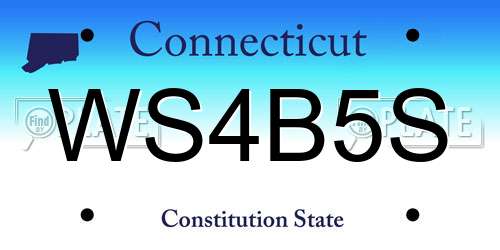 WS4B5S Connecticut License Plate