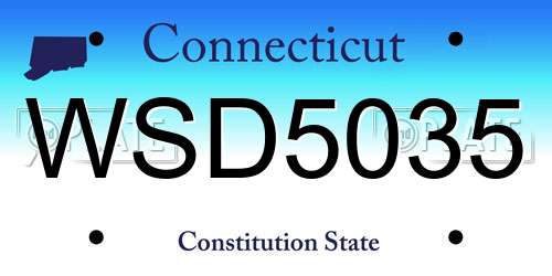 WSD5035 Connecticut License Plate