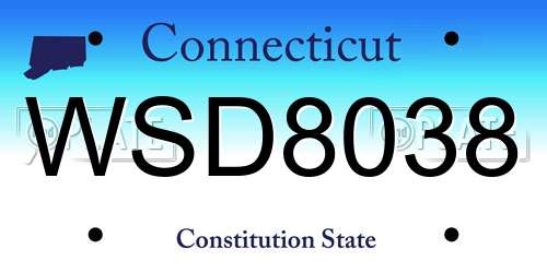 WSD8038 Connecticut License Plate