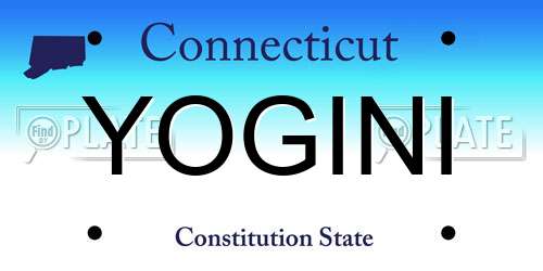 YOGINI Connecticut License Plate