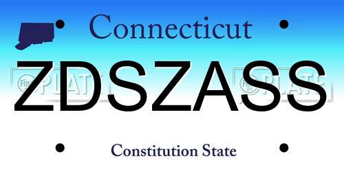 ZDSZASS Connecticut License Plate