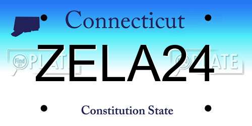 ZELA24 Connecticut License Plate