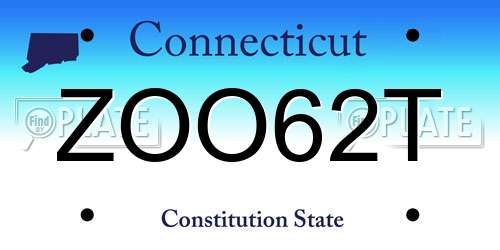 ZOO62T Connecticut License Plate