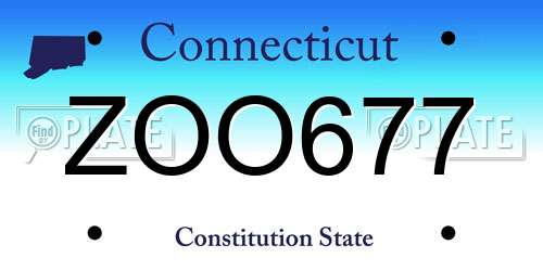 ZOO677 Connecticut License Plate