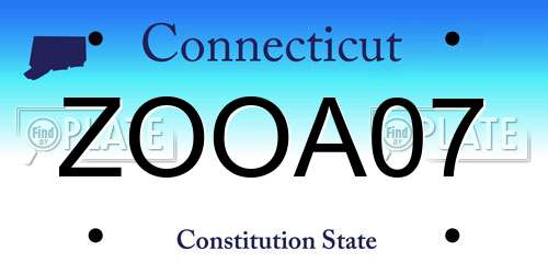 ZOOA07 Connecticut License Plate
