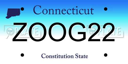 ZOOG22 Connecticut License Plate
