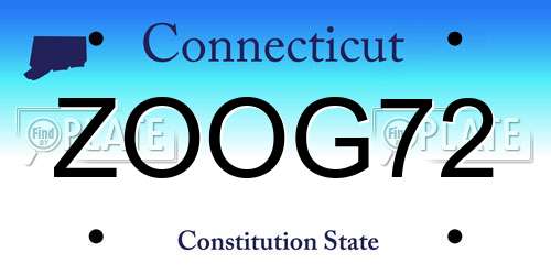 ZOOG72 Connecticut License Plate