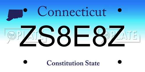 ZS8E8Z Connecticut License Plate