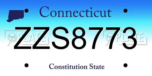 ZZS8773 Connecticut License Plate