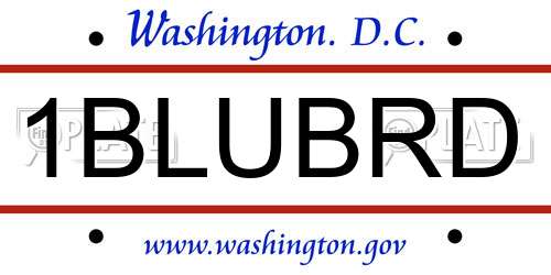1BLUBRD District Of Columbia License Plate