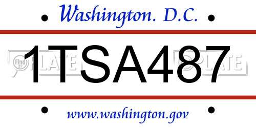 1TSA487 District Of Columbia License Plate