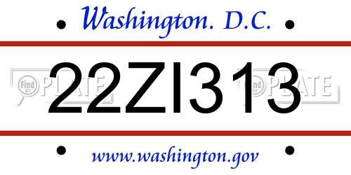 22ZI313 District Of Columbia License Plate