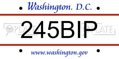 245BIP District Of Columbia License Plate