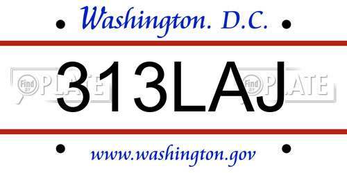 313LAJ District Of Columbia License Plate