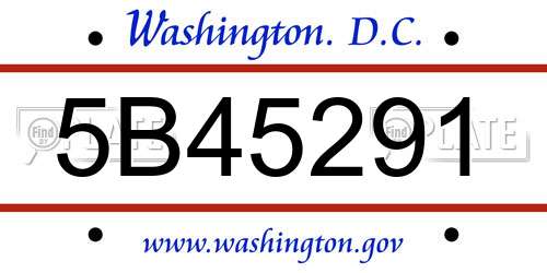 5B45291 District Of Columbia License Plate