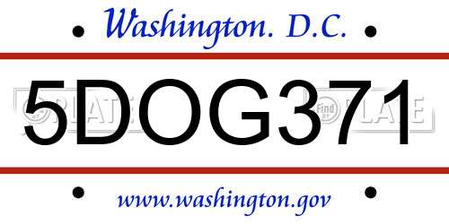 5DOG371 District Of Columbia License Plate