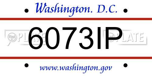 6073IP District Of Columbia License Plate