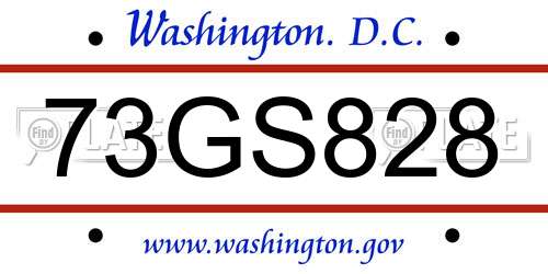 73GS828 District Of Columbia License Plate