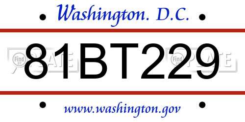 81BT229 District Of Columbia License Plate