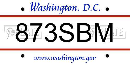 873SBM District Of Columbia License Plate