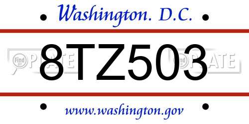 8TZ503 District Of Columbia License Plate