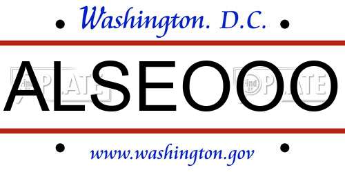 ALSEOOO District Of Columbia License Plate