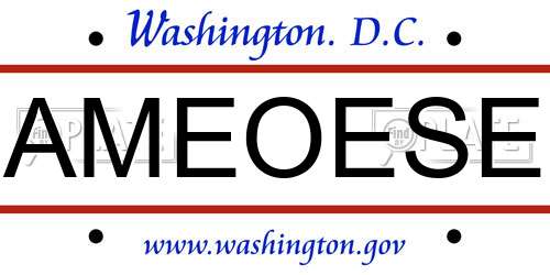 AMEOESE District Of Columbia License Plate