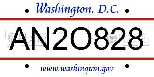 AN2O828 District Of Columbia License Plate